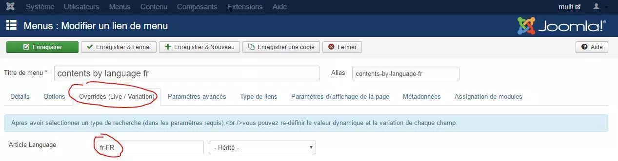 Multisites multilangues element menu filtre langue