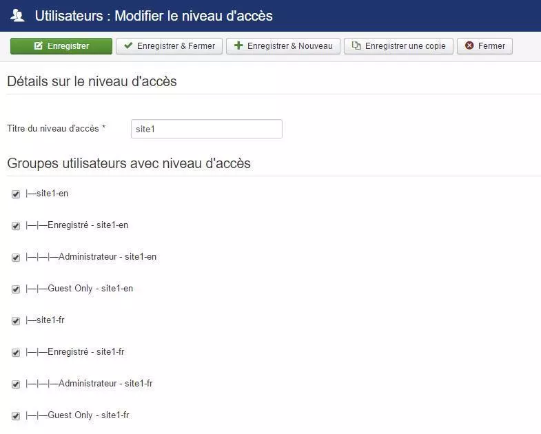 multisites multilangues acls site1