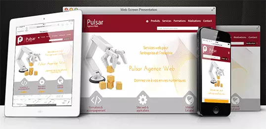 pulsar-responsive-petit