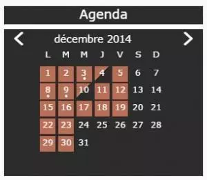 pulsarcalendar.JPG