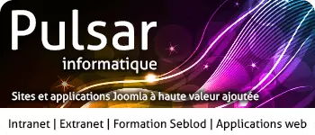 agence web pulsar realise des intranet et extranet