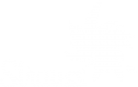 Strauss