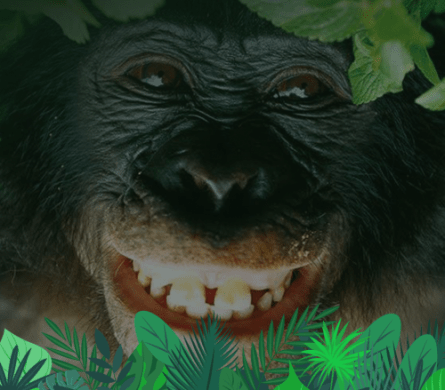home-bonobos-header01.png